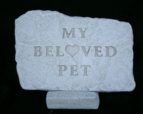 My Beloved Pet Stone 